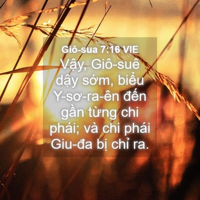 Picture 04 - Giô-sua 7:16 VIE - Vậy, Giô-suê dậy sớm, biểu Y-sơ-ra-ên - Bible Verse Picture