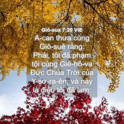 Picture 04 - Giô-sua 7:20 VIE - A-can thưa cùng Giô-suê rằng: Phải, tôi - Bible Verse Picture