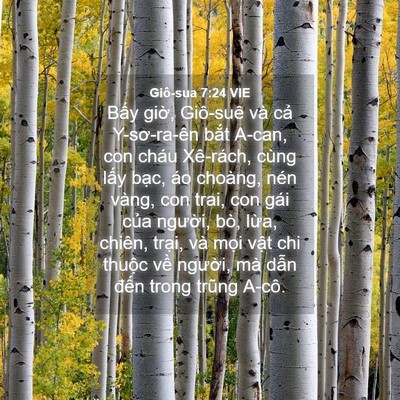 Picture 04 - Giô-sua 7:24 VIE - Bấy giờ, Giô-suê và cả Y-sơ-ra-ên - Bible Verse Picture