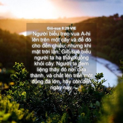 Picture 04 - Giô-sua 8:29 VIE - Người biểu treo vua A-hi lên trên một - Bible Verse Picture