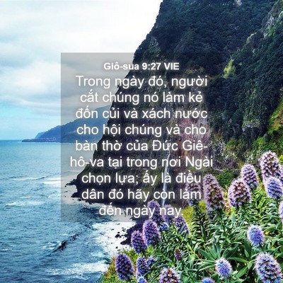 Picture 04 - Giô-sua 9:27 VIE - Trong ngày đó, người cắt chúng nó làm - Bible Verse Picture