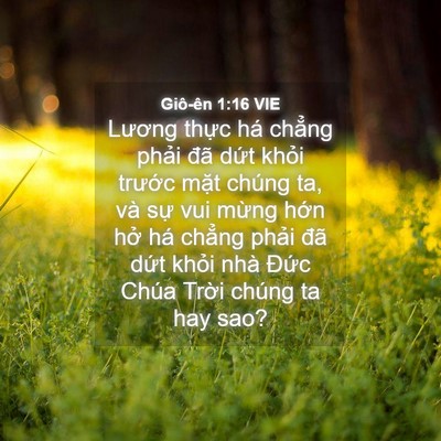 Picture 04 - Giô-ên 1:16 VIE - Lương thực há chẳng phải đã dứt - Bible Verse Picture