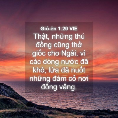 Picture 04 - Giô-ên 1:20 VIE - Thật, những thú đồng cũng thở giốc - Bible Verse Picture