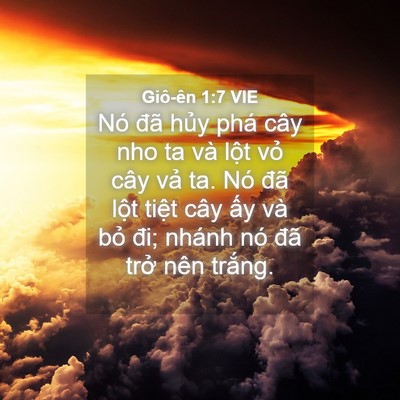 Picture 04 - Giô-ên 1:7 VIE - Nó đã hủy phá cây nho ta và lột vỏ - Bible Verse Picture
