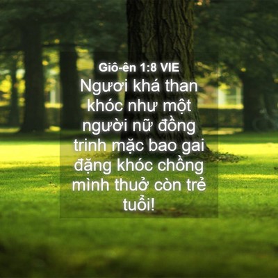 Picture 04 - Giô-ên 1:8 VIE - Ngươi khá than khóc như một người nữ - Bible Verse Picture