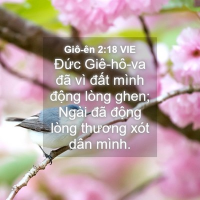 Picture 04 - Giô-ên 2:18 VIE - Đức Giê-hô-va đã vì đất mình động - Bible Verse Picture