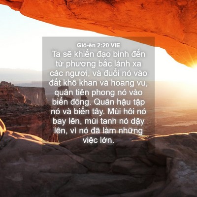 Picture 04 - Giô-ên 2:20 VIE - Ta sẽ khiến đạo binh đến từ phương - Bible Verse Picture