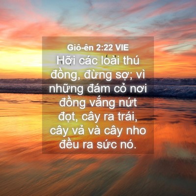 Picture 04 - Giô-ên 2:22 VIE - Hỡi các loài thú đồng, đừng sợ; vì - Bible Verse Picture