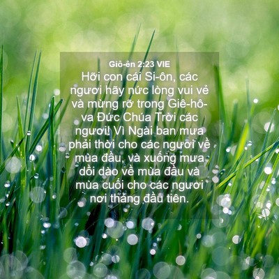 Picture 04 - Giô-ên 2:23 VIE - Hỡi con cái Si-ôn, các ngươi hãy nức - Bible Verse Picture