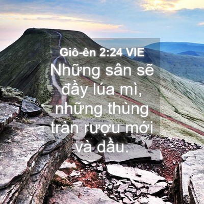 Picture 04 - Giô-ên 2:24 VIE - Những sân sẽ đầy lúa mì, những thùng - Bible Verse Picture