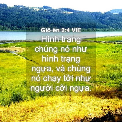 Picture 04 - Giô-ên 2:4 VIE - Hình trạng chúng nó như hình trạng - Bible Verse Picture