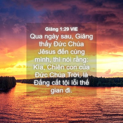 Picture 04 - Giăng 1:29 VIE - Qua ngày sau, Giăng thấy Đức Chúa Jêsus - Bible Verse Picture