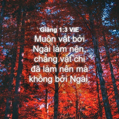 Picture 04 - Giăng 1:3 VIE - Muôn vật bởi Ngài làm nên, chẳng vật - Bible Verse Picture