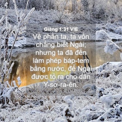 Picture 04 - Giăng 1:31 VIE - Về phần ta, ta vốn chẳng biết Ngài; - Bible Verse Picture