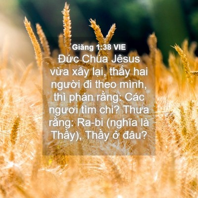 Picture 04 - Giăng 1:38 VIE - Đức Chúa Jêsus vừa xây lại, thấy hai - Bible Verse Picture