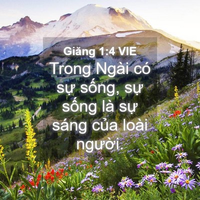 Picture 04 - Giăng 1:4 VIE - Trong Ngài có sự sống, sự sống là sự - Bible Verse Picture