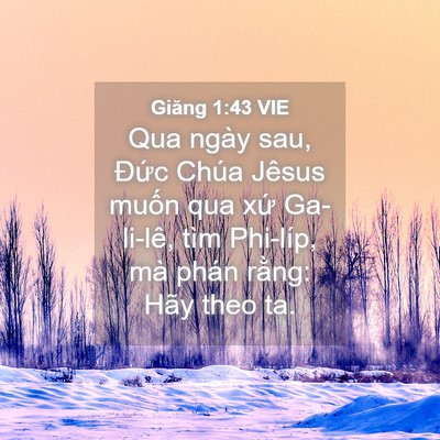 Picture 04 - Giăng 1:43 VIE - Qua ngày sau, Đức Chúa Jêsus muốn qua - Bible Verse Picture