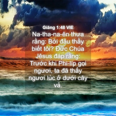 Picture 04 - Giăng 1:48 VIE - Na-tha-na-ên thưa rằng: Bởi đâu thầy - Bible Verse Picture