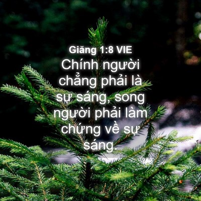 Picture 04 - Giăng 1:8 VIE - Chính người chẳng phải là sự sáng, - Bible Verse Picture