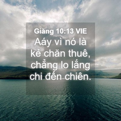 Picture 04 - Giăng 10:13 VIE - Aáy vì nó là kẻ chăn thuê, chẳng lo - Bible Verse Picture