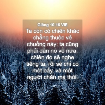 Picture 04 - Giăng 10:16 VIE - Ta còn có chiên khác chẳng thuộc về - Bible Verse Picture