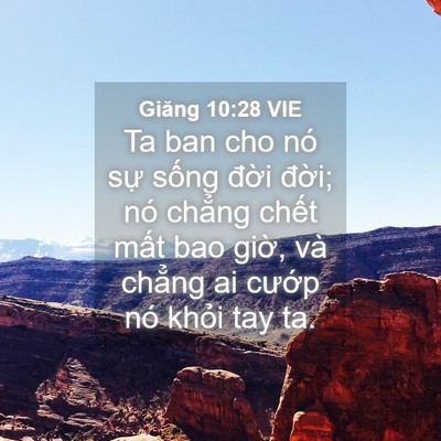 Picture 04 - Giăng 10:28 VIE - Ta ban cho nó sự sống đời đời; nó - Bible Verse Picture