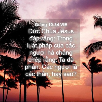 Picture 04 - Giăng 10:34 VIE - Đức Chúa Jêsus đáp rằng: Trong luật - Bible Verse Picture