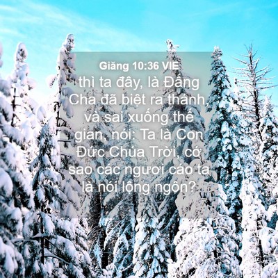 Picture 04 - Giăng 10:36 VIE - thì ta đây, là Đấng Cha đã biệt ra - Bible Verse Picture