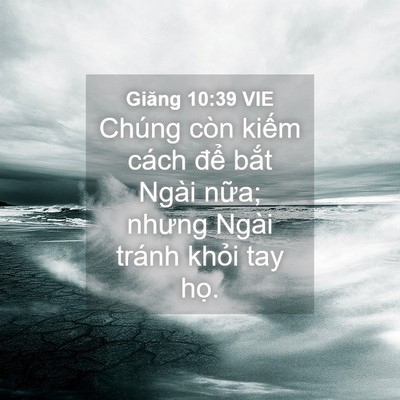 Picture 04 - Giăng 10:39 VIE - Chúng còn kiếm cách để bắt Ngài nữa; - Bible Verse Picture