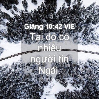 Picture 04 - Giăng 10:42 VIE - Tại đó có nhiều người tin - Bible Verse Picture