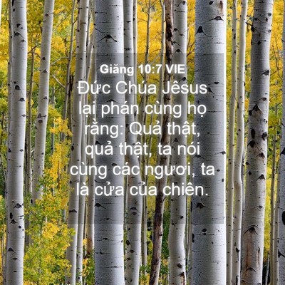 Picture 04 - Giăng 10:7 VIE - Đức Chúa Jêsus lại phán cùng họ - Bible Verse Picture