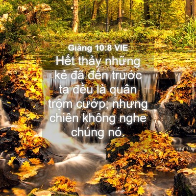 Picture 04 - Giăng 10:8 VIE - Hết thảy những kẻ đã đến trước ta - Bible Verse Picture