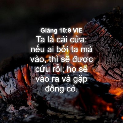 Picture 04 - Giăng 10:9 VIE - Ta là cái cửa: nếu ai bởi ta mà vào, - Bible Verse Picture