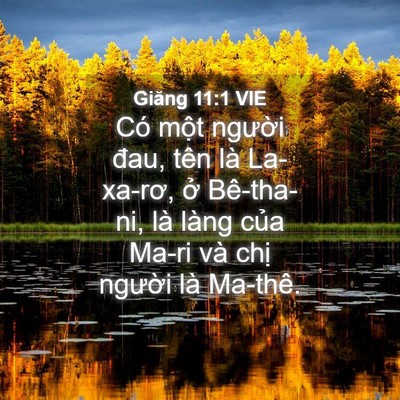 Picture 04 - Giăng 11:1 VIE - Có một người đau, tên là La-xa-rơ, ở - Bible Verse Picture
