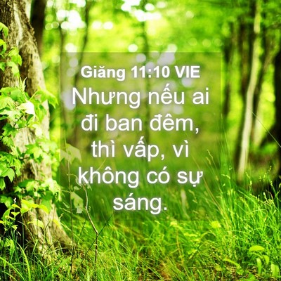Picture 04 - Giăng 11:10 VIE - Nhưng nếu ai đi ban đêm, thì vấp, vì - Bible Verse Picture