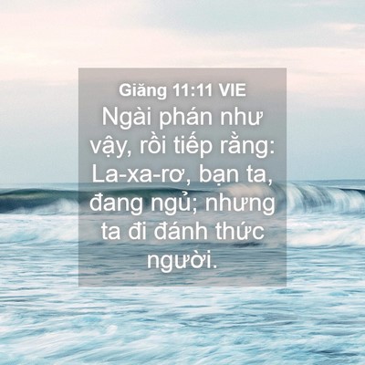 Picture 04 - Giăng 11:11 VIE - Ngài phán như vậy, rồi tiếp rằng: - Bible Verse Picture