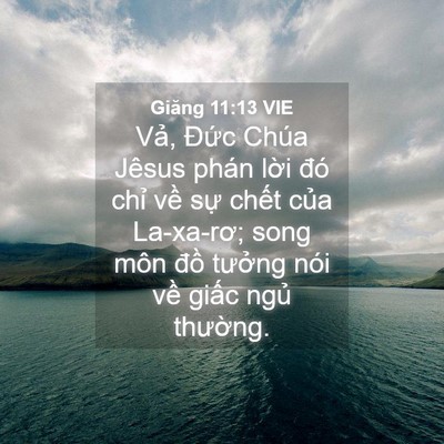 Picture 04 - Giăng 11:13 VIE - Vả, Đức Chúa Jêsus phán lời đó chỉ - Bible Verse Picture