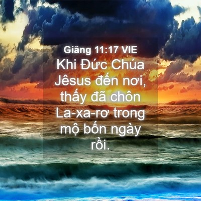 Picture 04 - Giăng 11:17 VIE - Khi Đức Chúa Jêsus đến nơi, thấy đã - Bible Verse Picture