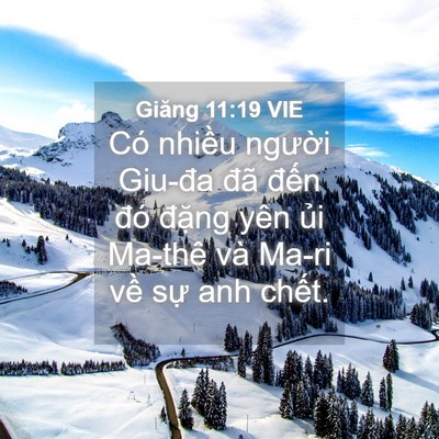 Picture 04 - Giăng 11:19 VIE - Có nhiều người Giu-đa đã đến đó - Bible Verse Picture