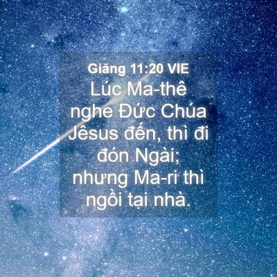 Picture 04 - Giăng 11:20 VIE - Lúc Ma-thê nghe Đức Chúa Jêsus đến, - Bible Verse Picture