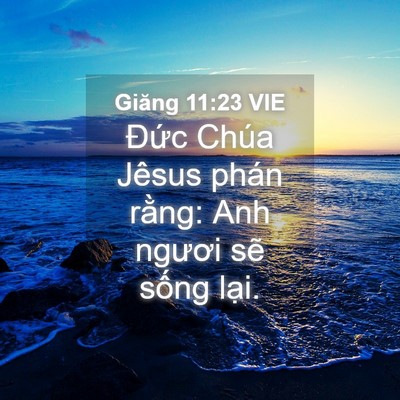 Picture 04 - Giăng 11:23 VIE - Đức Chúa Jêsus phán rằng: Anh ngươi - Bible Verse Picture
