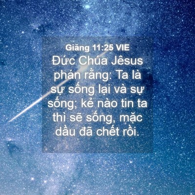 Picture 04 - Giăng 11:25 VIE - Đức Chúa Jêsus phán rằng: Ta là sự - Bible Verse Picture