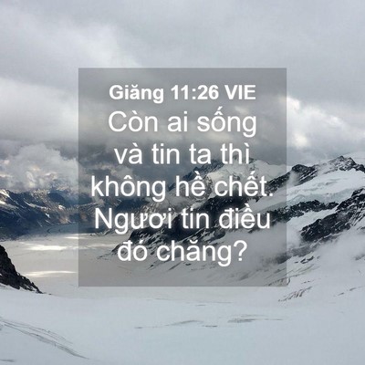 Picture 04 - Giăng 11:26 VIE - Còn ai sống và tin ta thì không hề - Bible Verse Picture