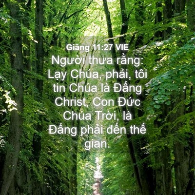 Picture 04 - Giăng 11:27 VIE - Người thưa rằng: Lạy Chúa, phải, tôi - Bible Verse Picture