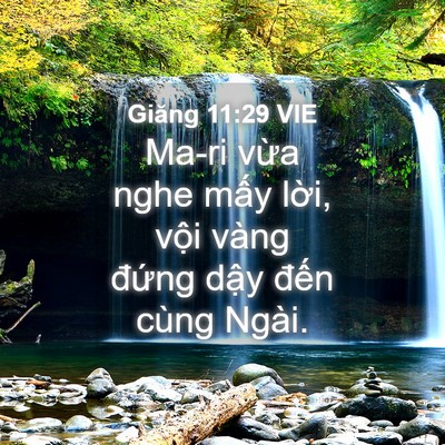 Picture 04 - Giăng 11:29 VIE - Ma-ri vừa nghe mấy lời, vội vàng đứng - Bible Verse Picture