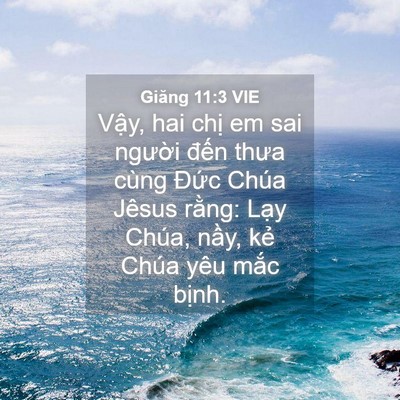 Picture 04 - Giăng 11:3 VIE - Vậy, hai chị em sai người đến thưa - Bible Verse Picture