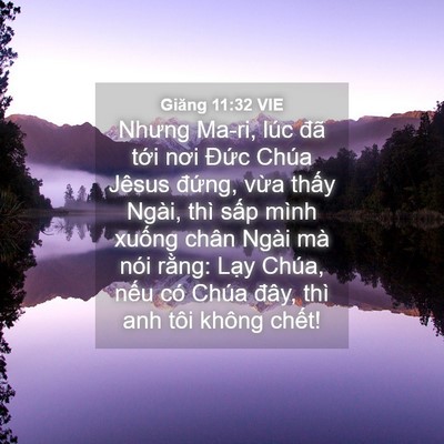Picture 04 - Giăng 11:32 VIE - Nhưng Ma-ri, lúc đã tới nơi Đức Chúa - Bible Verse Picture