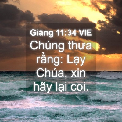 Picture 04 - Giăng 11:34 VIE - Chúng thưa rằng: Lạy Chúa, xin hãy lại - Bible Verse Picture