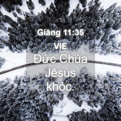 Picture 04 - Giăng 11:35 VIE - Đức Chúa Jêsus - Bible Verse Picture