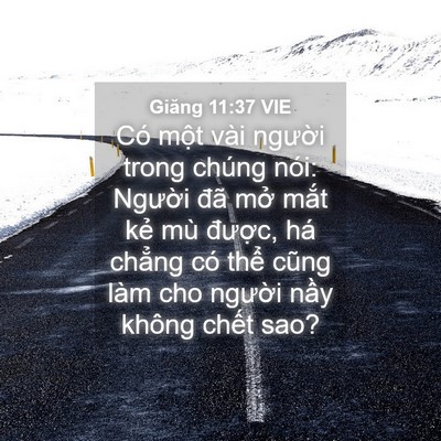Picture 04 - Giăng 11:37 VIE - Có một vài người trong chúng nói: - Bible Verse Picture